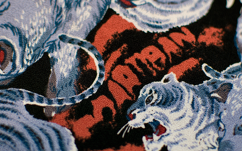 DSC_0017